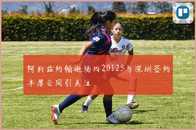 阿利兹约翰逊场均20125与深圳签约丰厚合同引关注